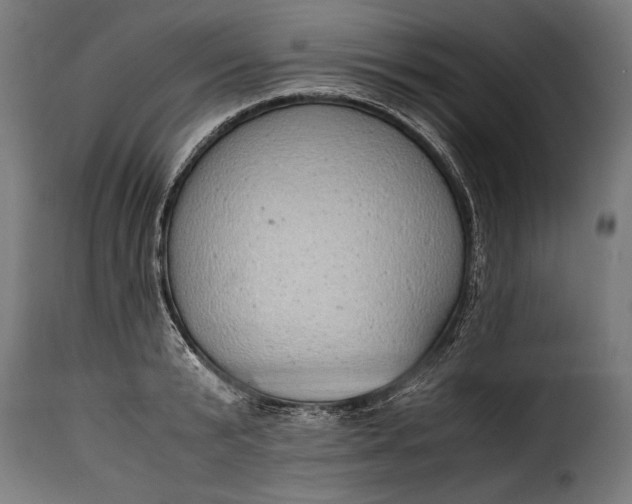 X0000115620799200911241623