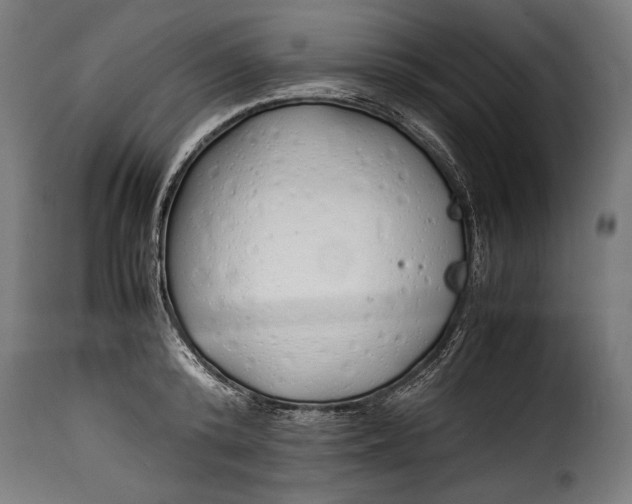 X0000115620800200911241623