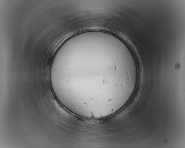 X0000115620801200911241623