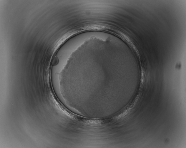 X0000115620802200911241623