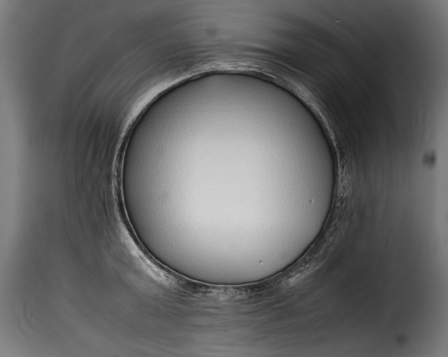 X0000115620803200911241623