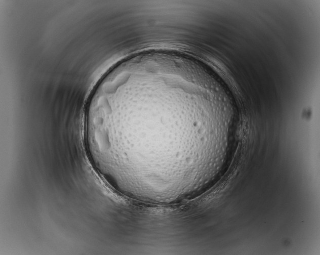 X0000115620804200911241623