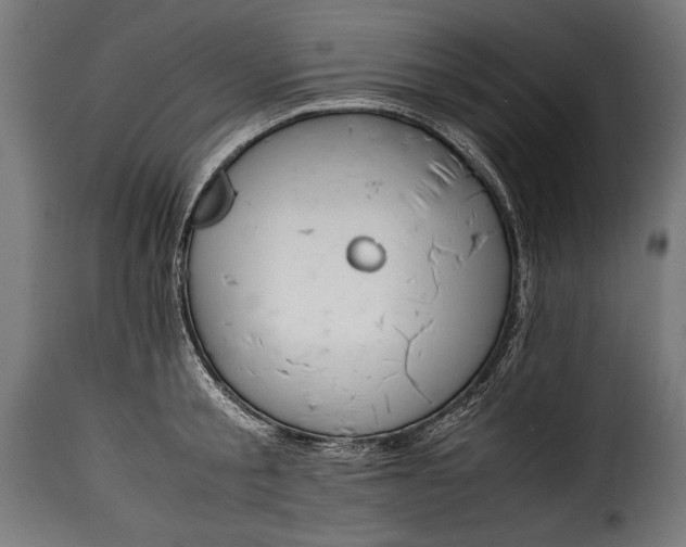 X0000115620805200911241623