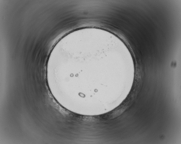 X0000115620807200911241623