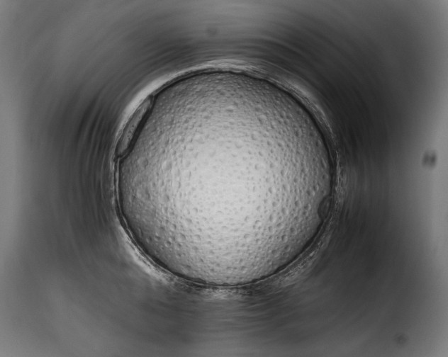 X0000115620808200911241622