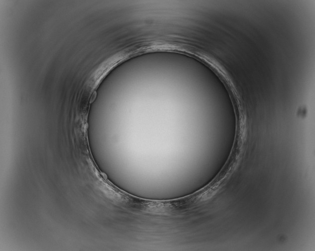 X0000115620809200911241622