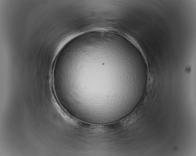 X0000115620811200911241622