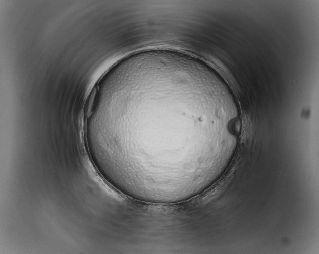 X0000115620812200911241622