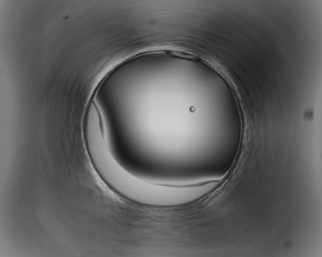 X0000115620813200911241622