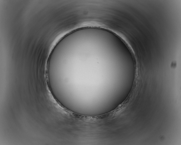 X0000115620815200911241622