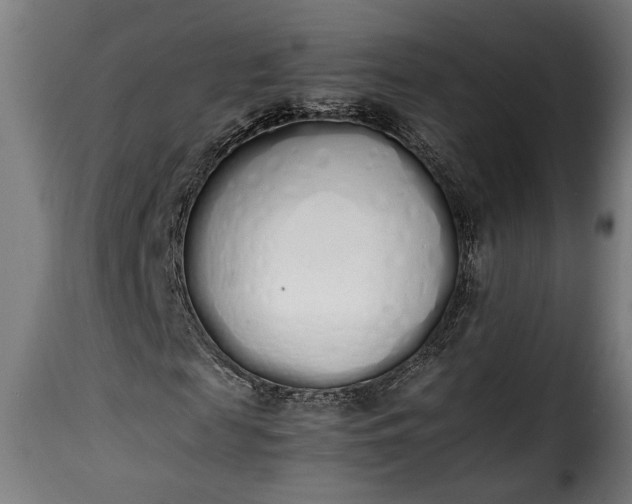 X0000115620817200911241622