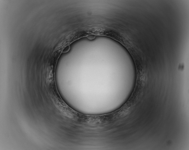 X0000115620818200911241622