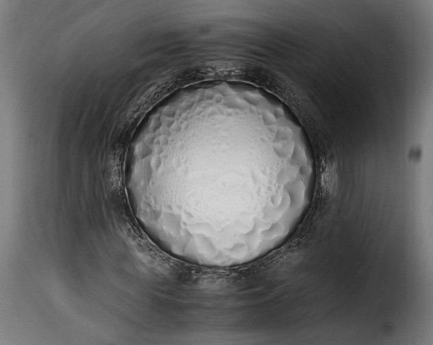 X0000115620819200911241622