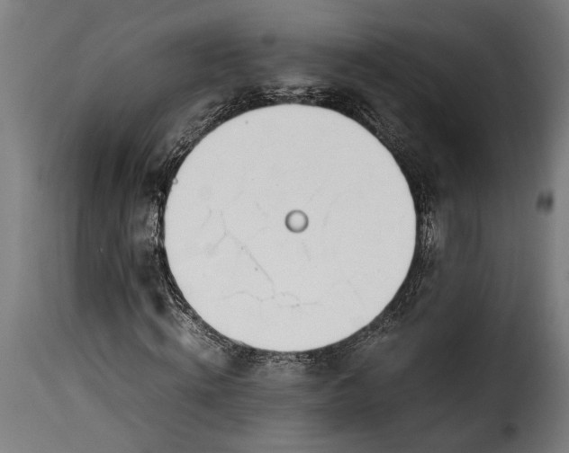 X0000115620820200911241622