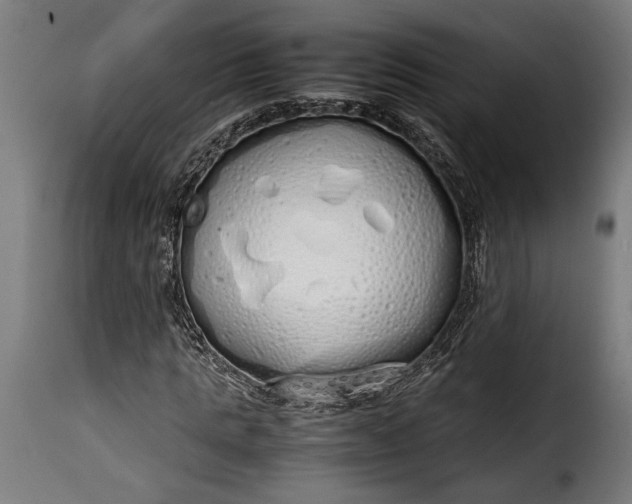 X0000115620821200911241622