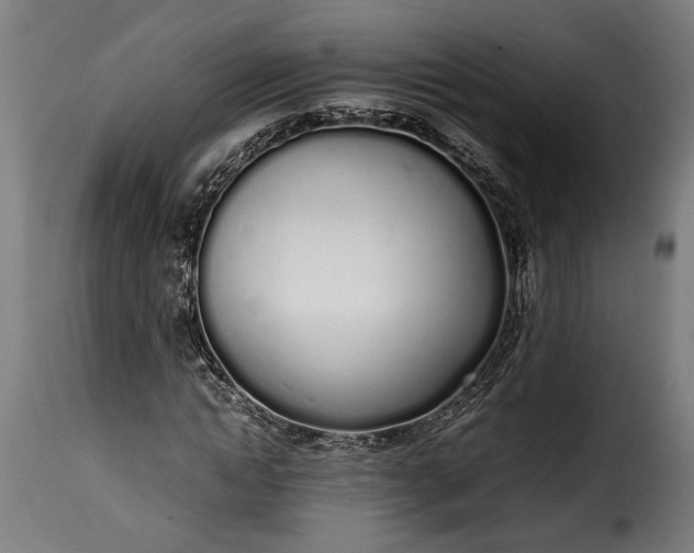 X0000115620822200911241622