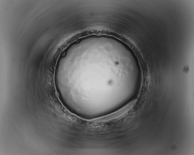 X0000115620823200911241622