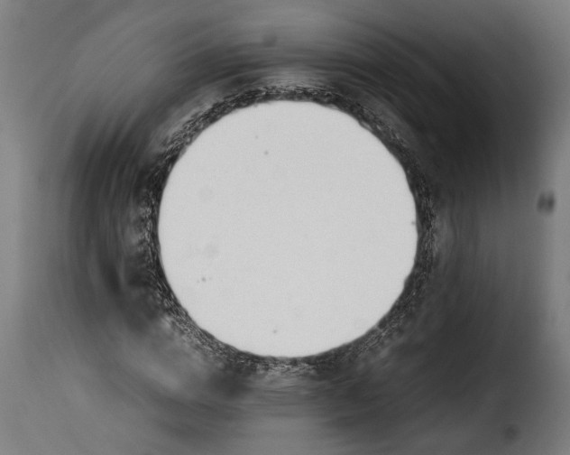 X0000115620824200911241622