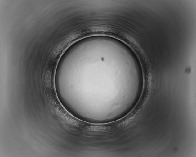 X0000115620825200911241622