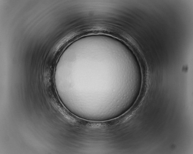 X0000115620826200911241622