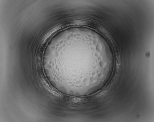 X0000115620827200911241622