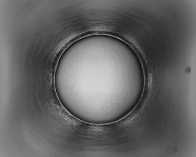 X0000115620829200911241622