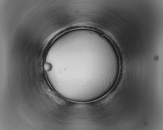 X0000115620830200911241622