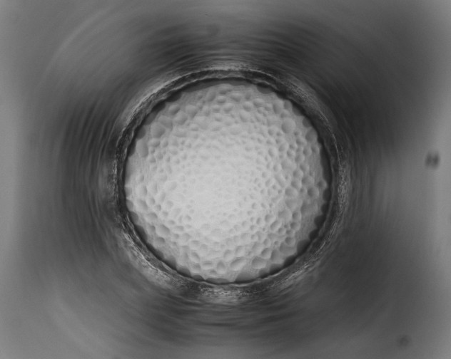 X0000115620831200911241622