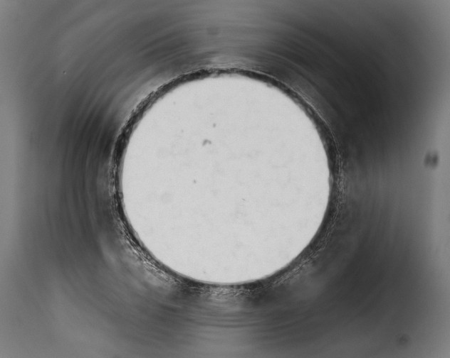 X0000115620832200911241622