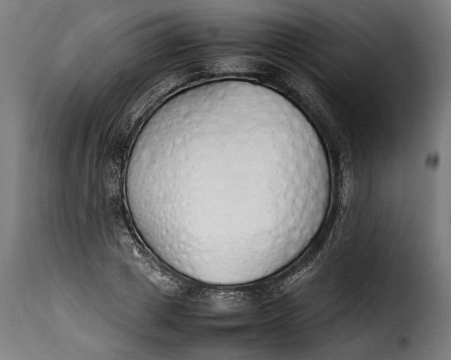 X0000115620833200911241622