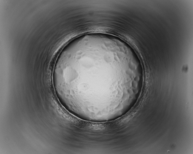 X0000115620835200911241622