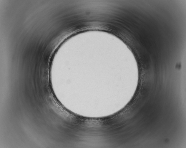 X0000115620836200911241622