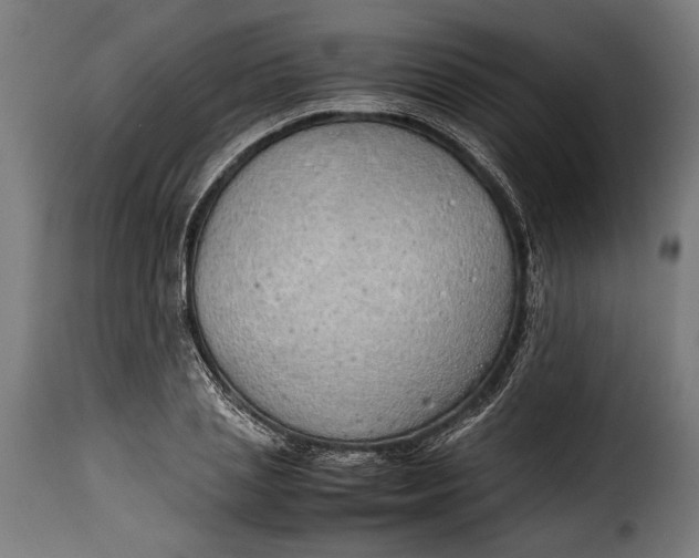 X0000115620837200911241622