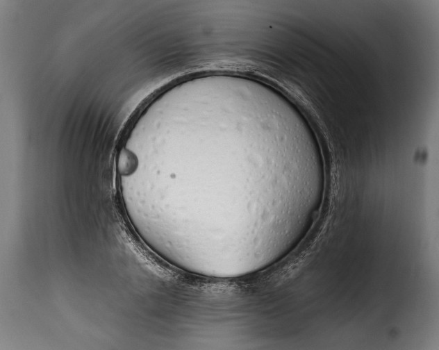 X0000115620838200911241622