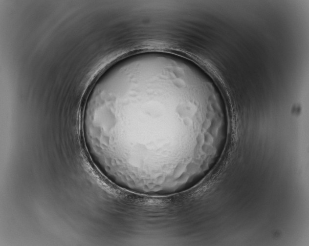 X0000115620839200911241622