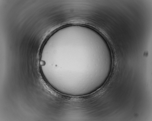 X0000115620840200911241622