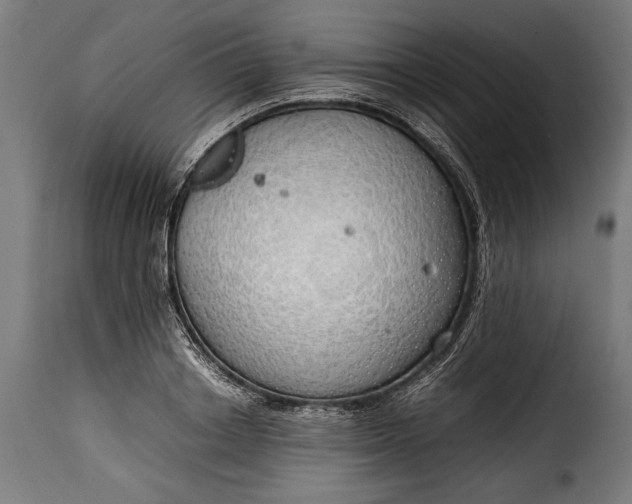 X0000115620842200911241622