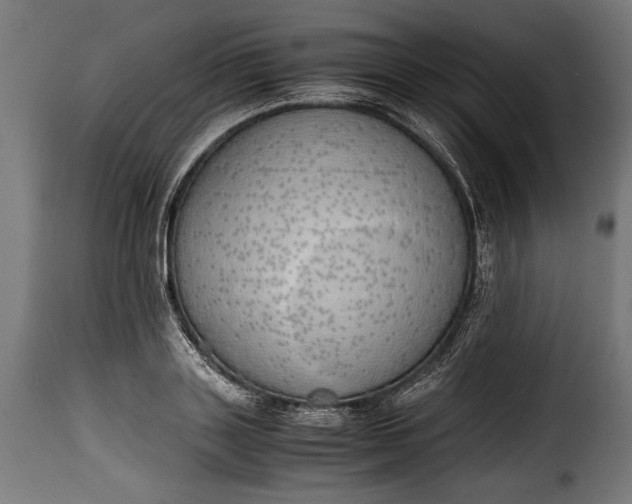 X0000115620843200911241622