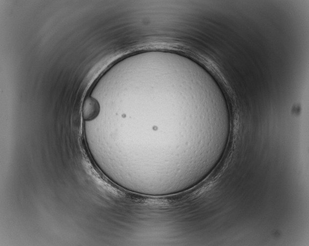 X0000115620844200911241622