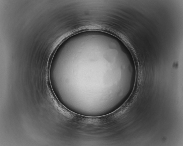 X0000115620845200911241622