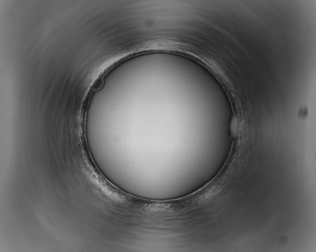 X0000115620846200911241622