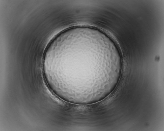 X0000115620847200911241622