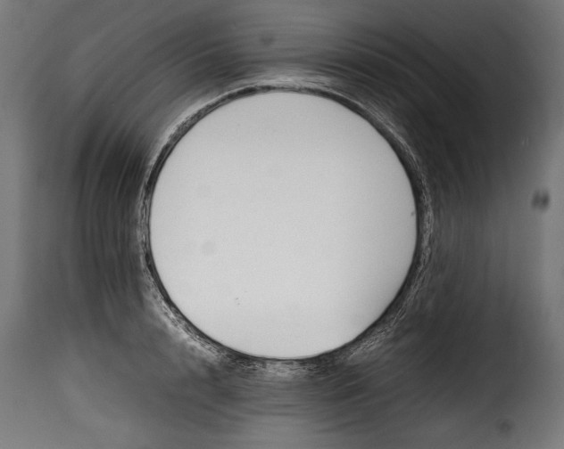 X0000115620848200911241622