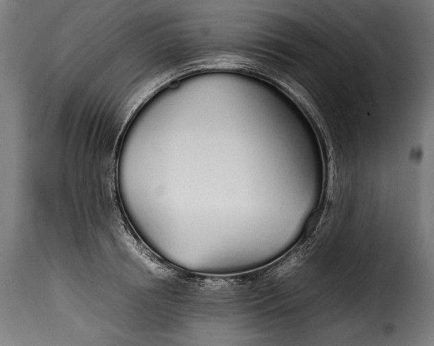 X0000115620850200911241622