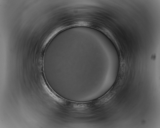 X0000115620851200911241622