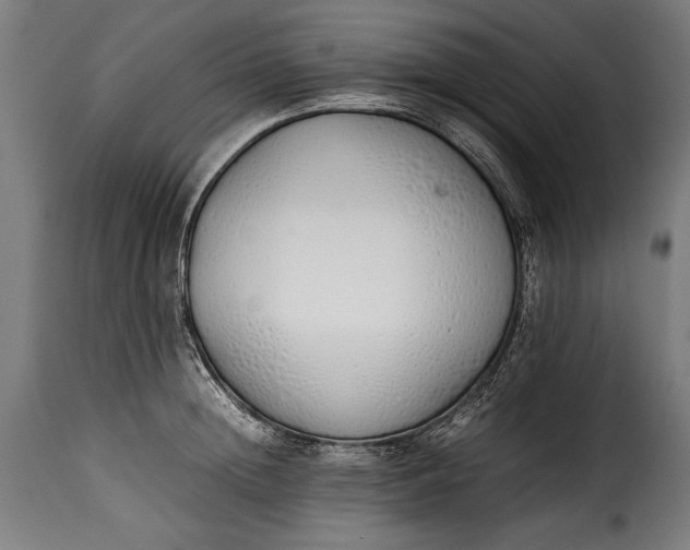 X0000115620852200911241622