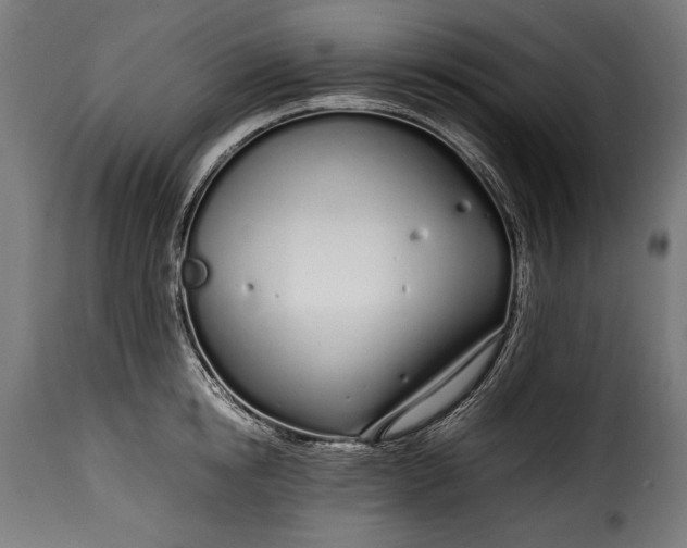 X0000115620854200911241622