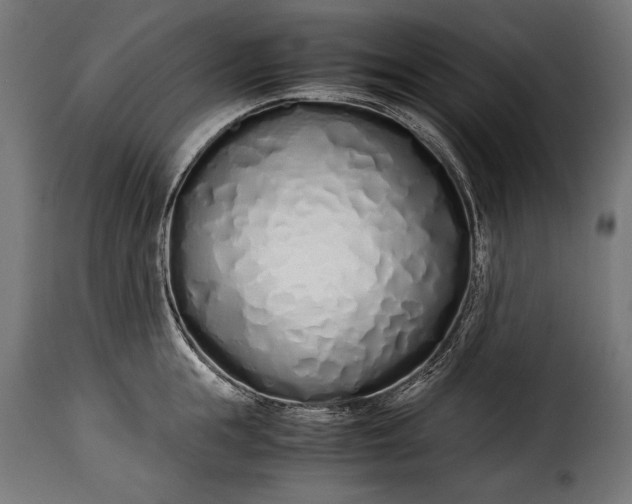 X0000115620855200911241622