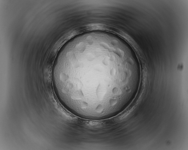 X0000115620857200911241622