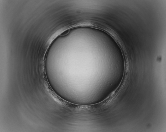 X0000115620858200911241622